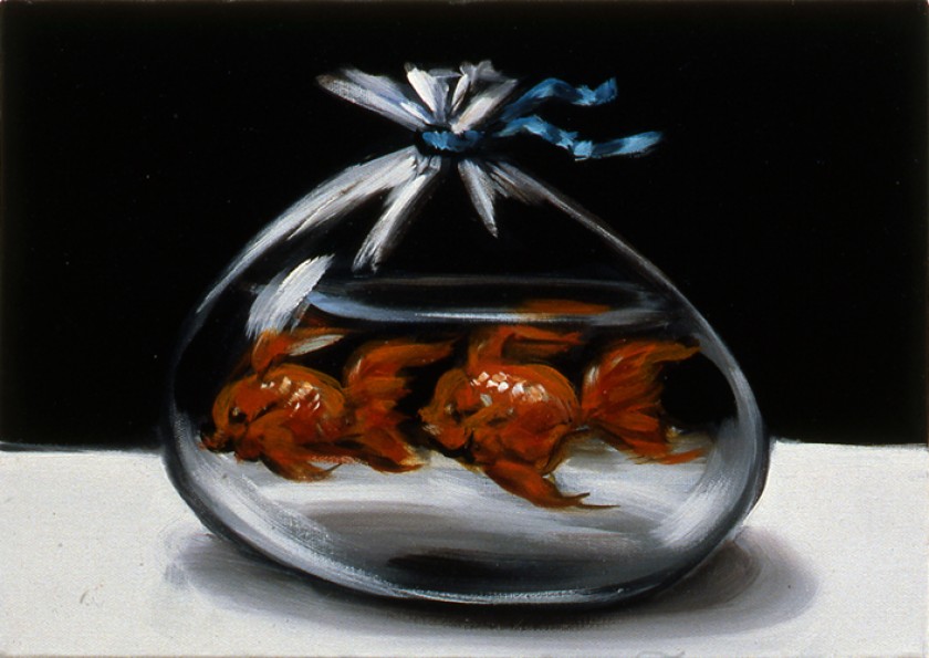 Goldfish, 2007